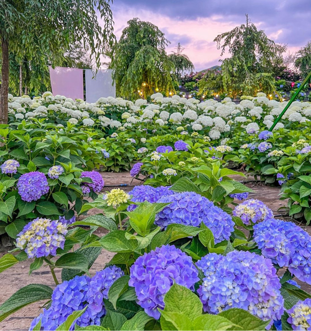 공주여행 코스추천_image