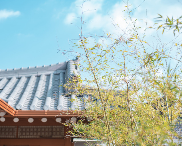 76481_accommodation_banner_image