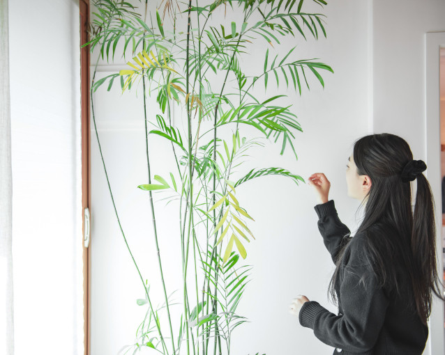 76517_accommodation_banner_image